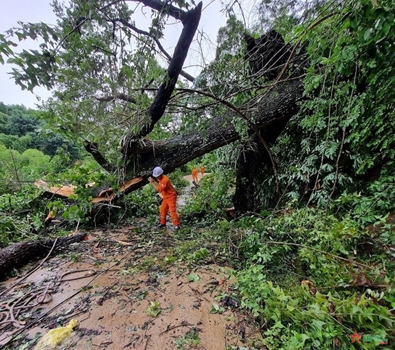 Điện lực miền Bắc nhanh chóng khắc phục sự cố lưới điện do mưa lũ